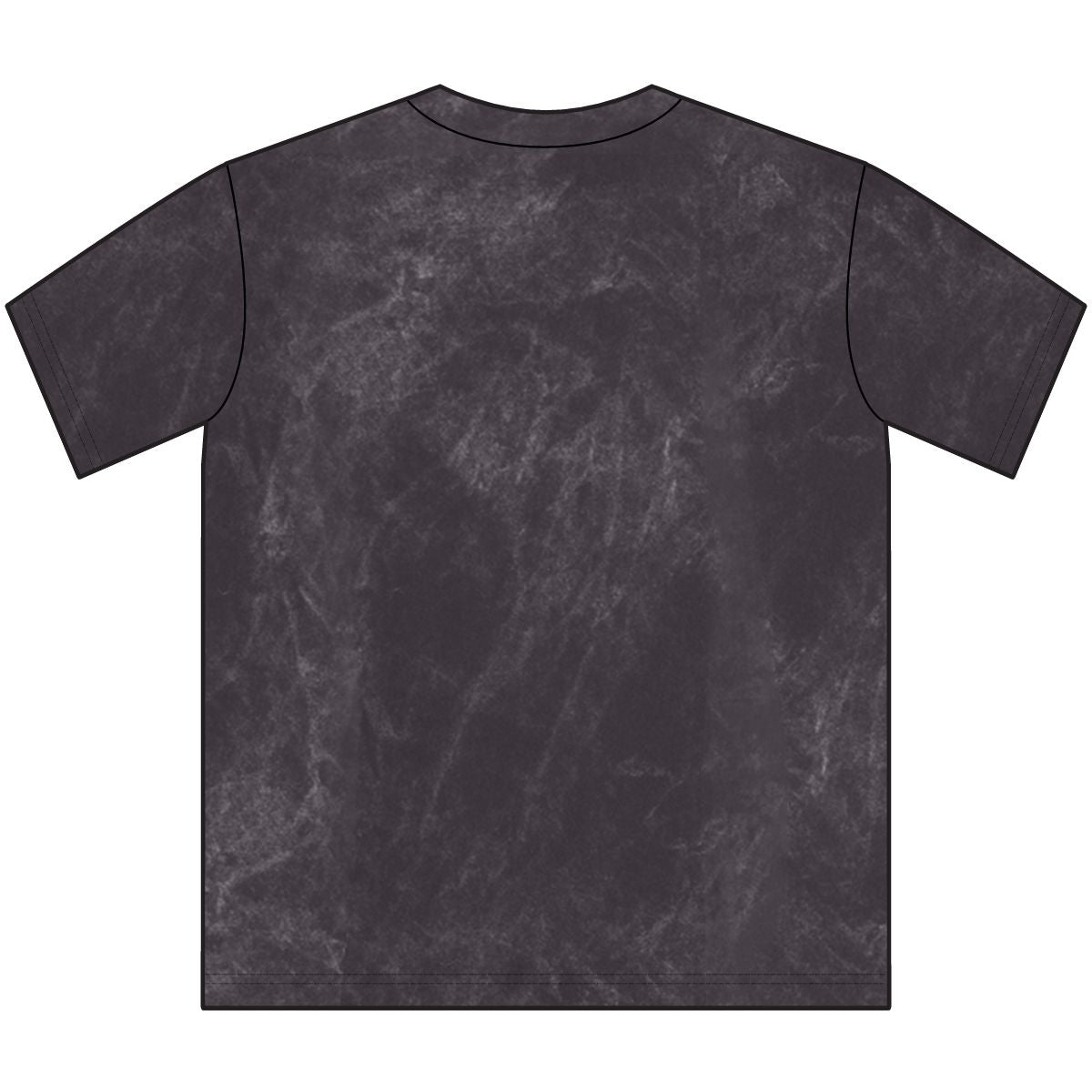 Sons of Beaches Anhinga Tee