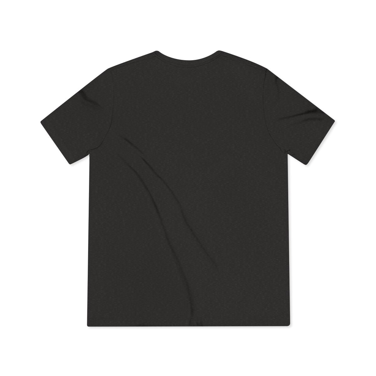 Sons of Beaches Falcon Heavy Tee
