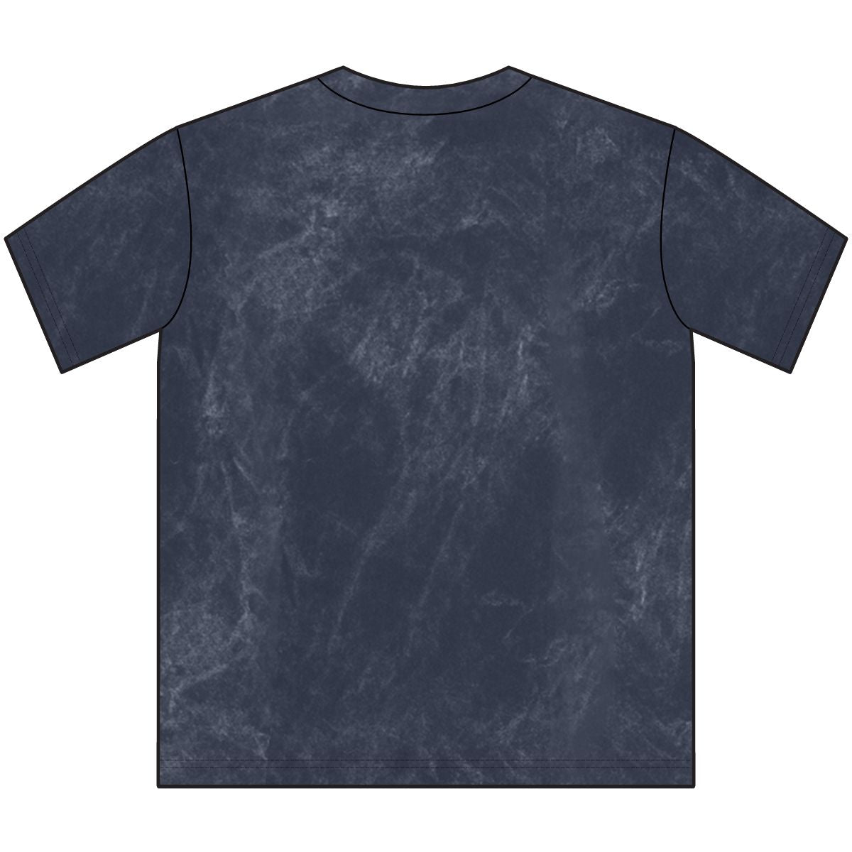 Sons of Beaches Loggerhead Tee